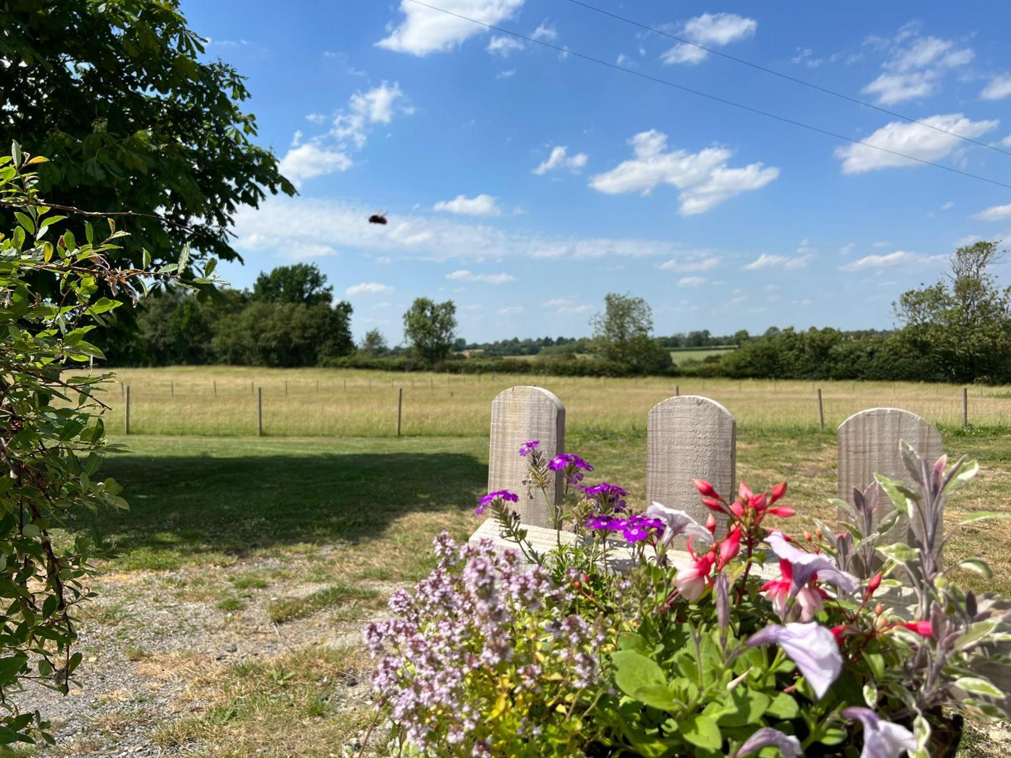 Great Sampford B&B Sorrells Farm Hempstead  Esterno foto